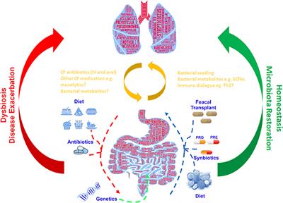 Multi-Omics Approaches: The Key to Improving Respiratory Health in People With Cystic Fibrosis?